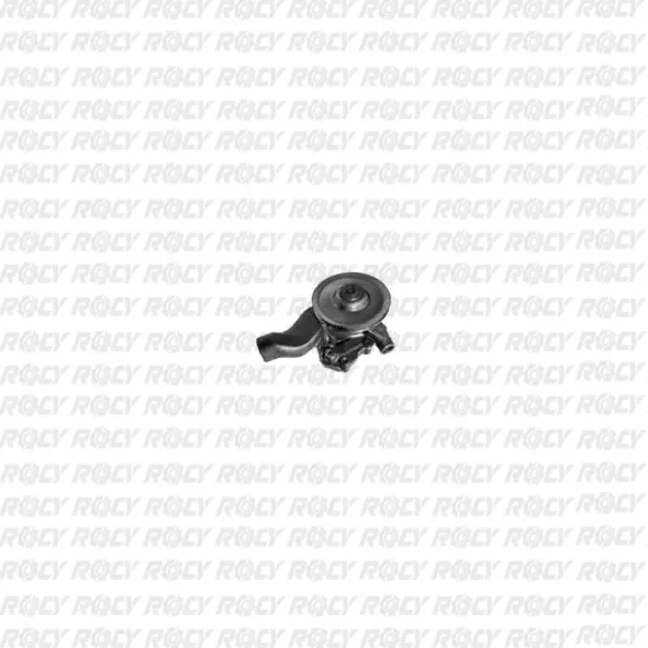 R 01 01-1471